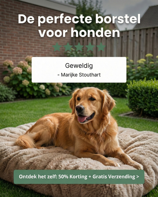 SteamPet™ - Zeg Vaarwel Tegen Huisdierharen in Huis