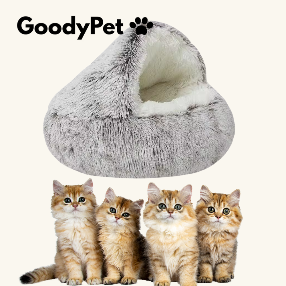 Zeg Vaarwel Tegen de Stress van je Kat