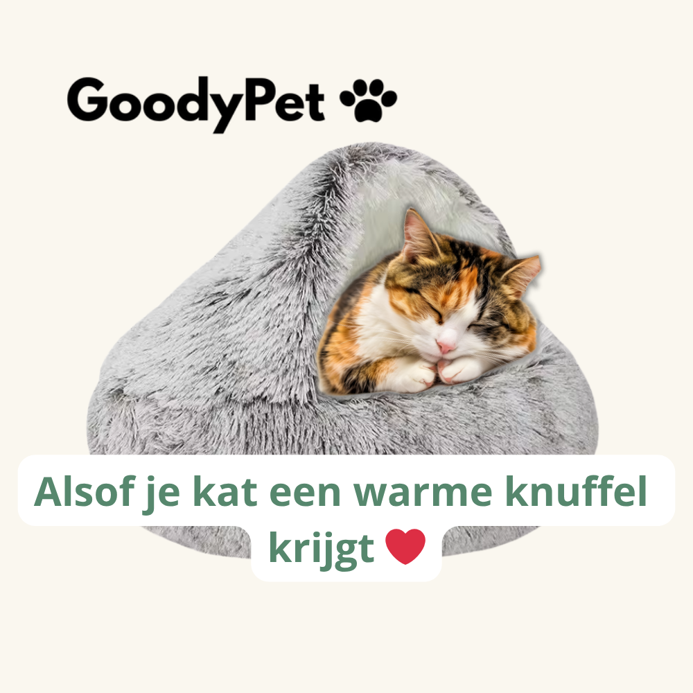 Zeg Vaarwel Tegen de Stress van je Kat