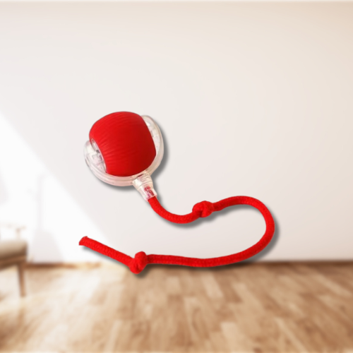 Automatische Speelbal – Voor Katten & Honden Door GoodyPet