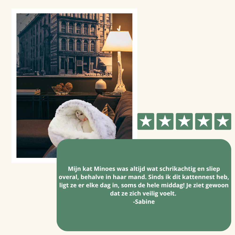 Zeg Vaarwel Tegen de Stress van je Kat