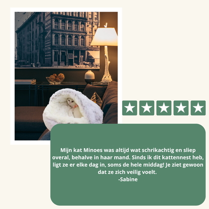 Zeg Vaarwel Tegen de Stress van je Kat