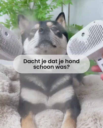 SteamPet™ - Zeg Vaarwel Tegen Huisdierharen in Huis